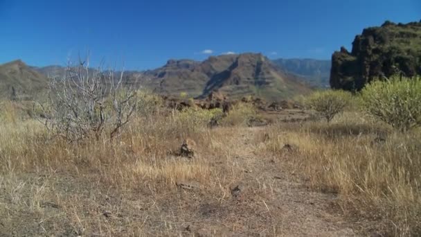 Coup de grue des montagnes et des canyons — Video