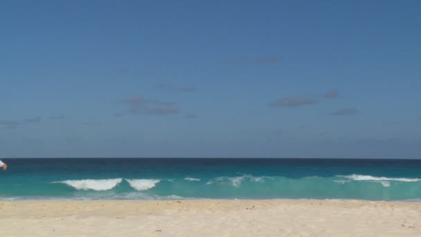 Echtpaar wandelen langs strand — Stockvideo