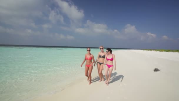 Women in bikinis on sandy beach — Stock Video