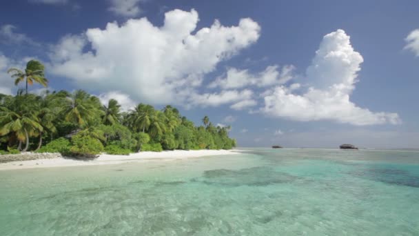 plage avec palmiers sur île tropicale 