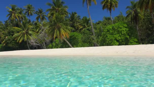 plage de sable fin sur l'île 