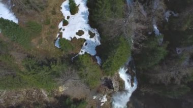 Orman Cascade'lerde şelale