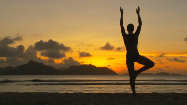 Silhouette of woman practising yoga — Stock Video