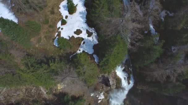Kaskády vodopádu v lese — Stock video