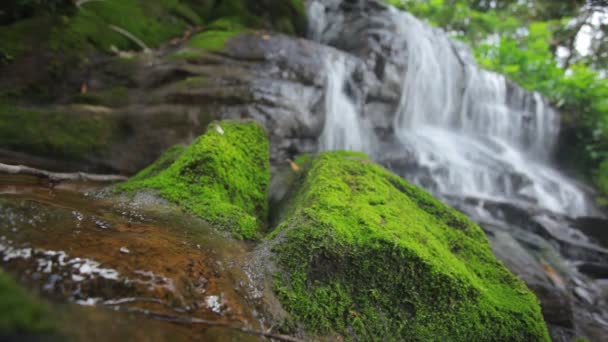 Tropical waterfall in jungle — Stock Video