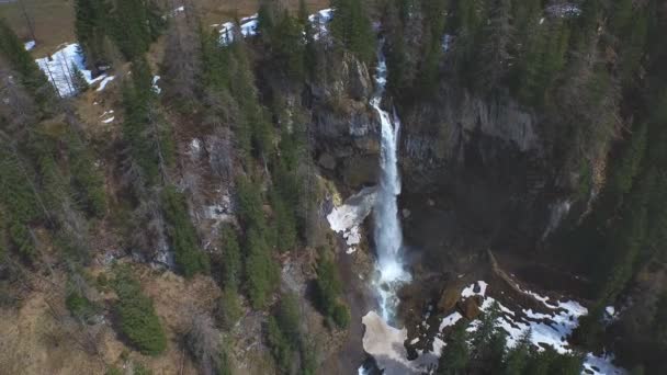 Cascatas de cachoeira na floresta — Vídeo de Stock