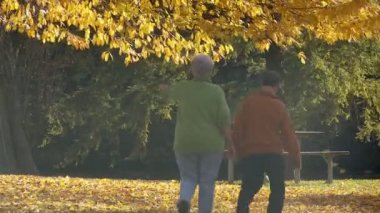 Yaşlılar için park bankında sonbaharda yürüyüş