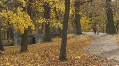 üst düzey çift parkta yürüyüş 