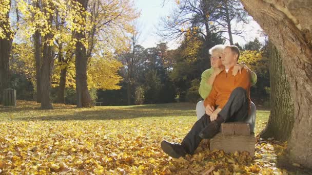 Пожилая пара наслаждается днем — стоковое видео