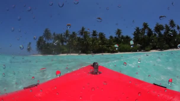 Passeios de caiaque chegando na praia — Vídeo de Stock