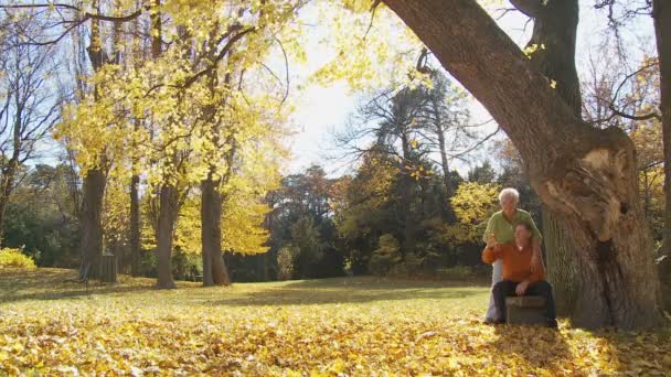 Äldre par i park i höst — Stockvideo