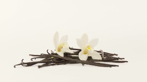 Vanilla herb with flowers — Stock Video
