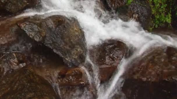 Kleine waterval in de vijver — Stockvideo
