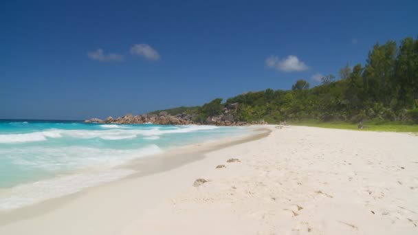 Waves touching sandy beach — Stock Video