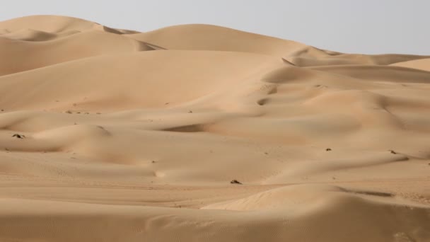 Desert dunes with moving shadows — Stock Video