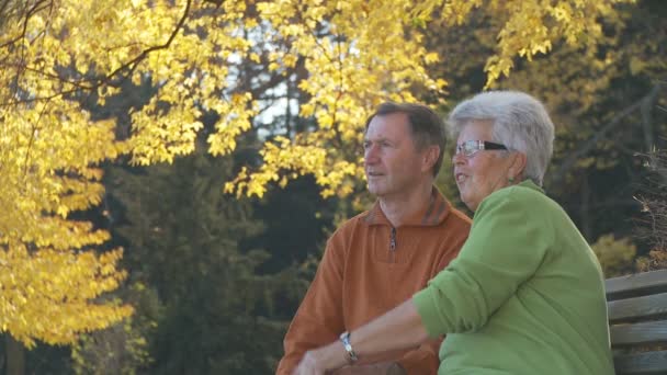 Casal de idosos assistindo — Vídeo de Stock