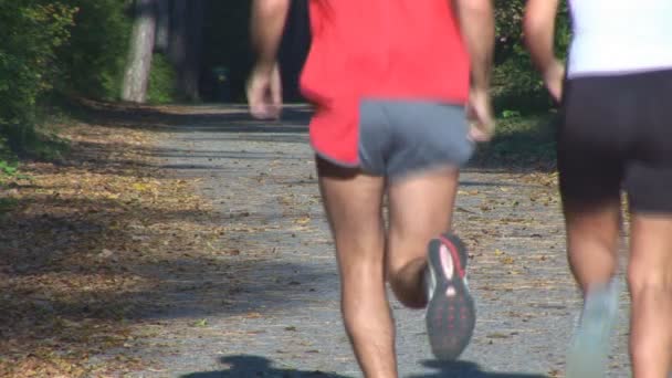 Pareja corriendo por el bosque — Vídeos de Stock