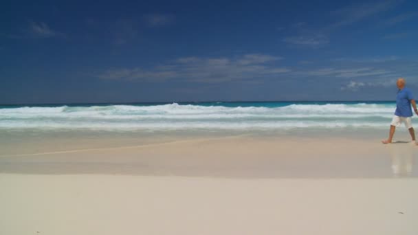 Caminhando na praia tropical — Vídeo de Stock