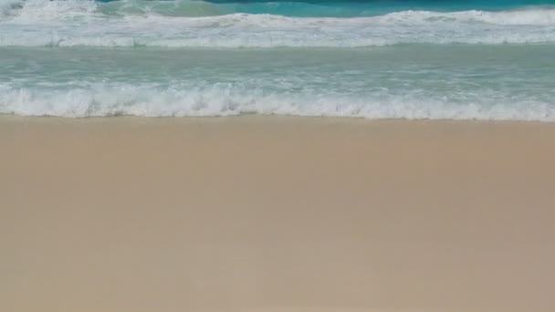 Waves touching sandy beach — Stock Video
