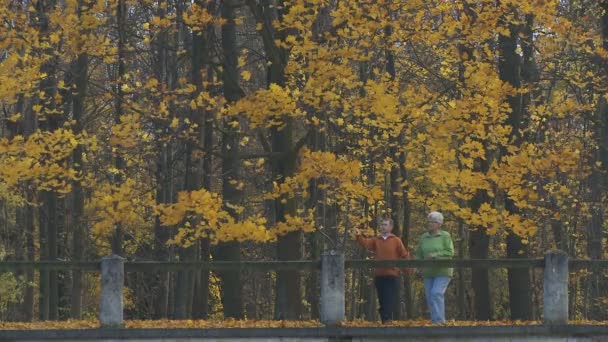 Pareja de ancianos en el bosque desidous — Vídeos de Stock