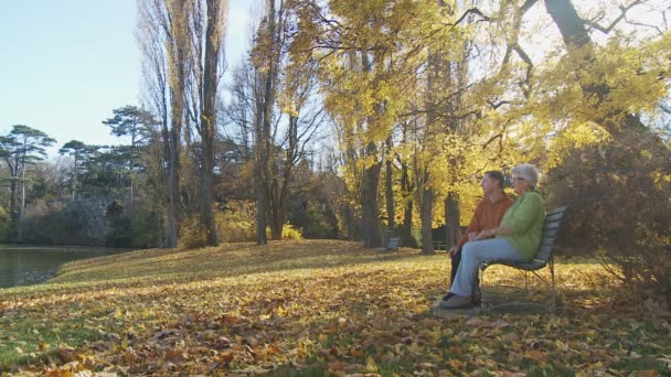Starsza para na ławce w parku — Wideo stockowe