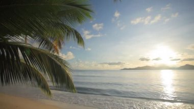 kumlu plaj çok dokunaklı dalgalar 