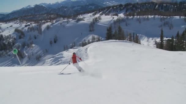 Femme ski le jour ensoleillé — Video