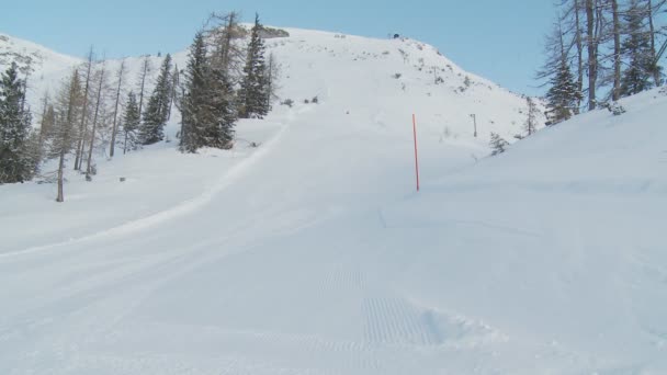 女子滑雪阳光明媚的日子 — 图库视频影像
