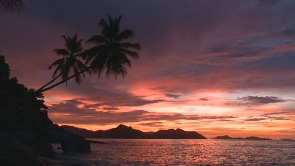 Farbenfroher Sonnenuntergang am tropischen Strand — Stockvideo
