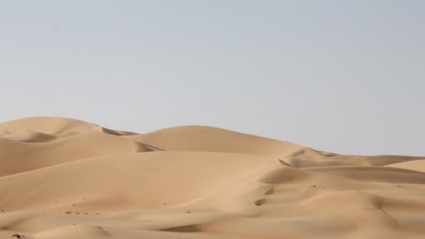 Dune desertiche con ombre in movimento — Video Stock