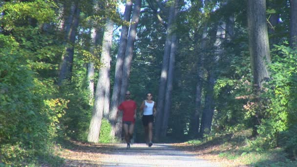 Paar rennt durch Wald — Stockvideo