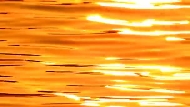 Reflexões do sol sobre a água — Vídeo de Stock