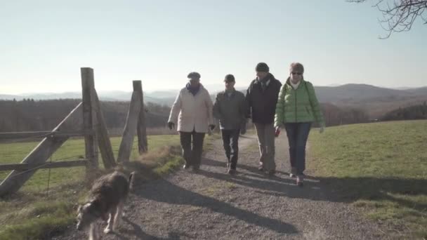 Пожилые люди прогулки на открытом воздухе — стоковое видео