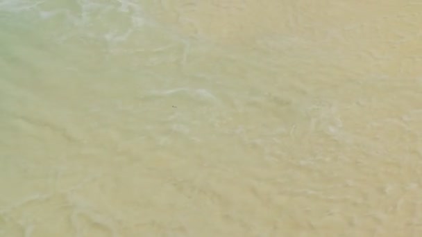 Sandstrand auf der Insel — Stockvideo