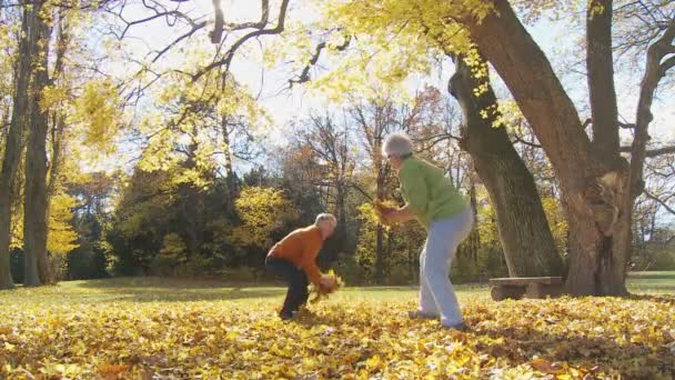 Senioren spielen wie Kinder — Stockvideo