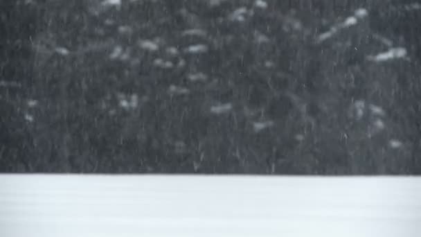 Nevadas en el día de invierno — Vídeos de Stock