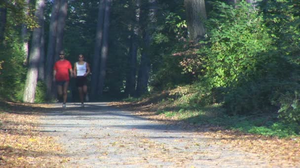 Pareja corriendo por el bosque — Vídeo de stock