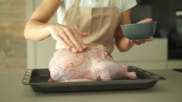 Kyckling förbereder FUD middag — Stockvideo