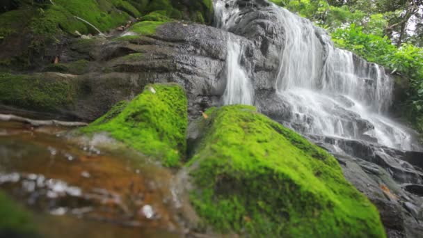 Tropical waterfall in jungle — Stock Video