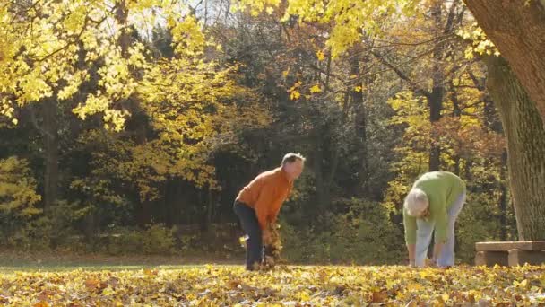 Senioren-Paar bewirft sich mit Laub — Stockvideo