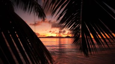 tropikal plaj renkli günbatımı