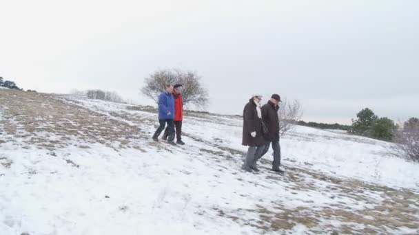 Дві старші пари ходять — стокове відео