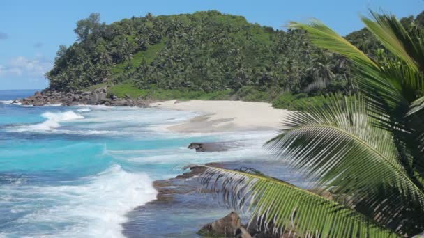 Plage de sable fin sur l'île — Video