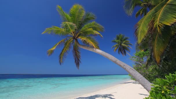grand fond de vacances 
