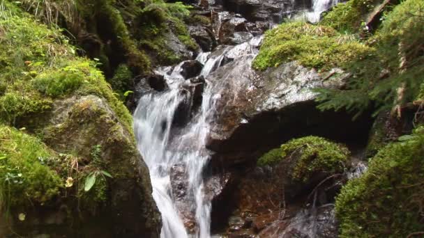Små vattenfall i damm — Stockvideo