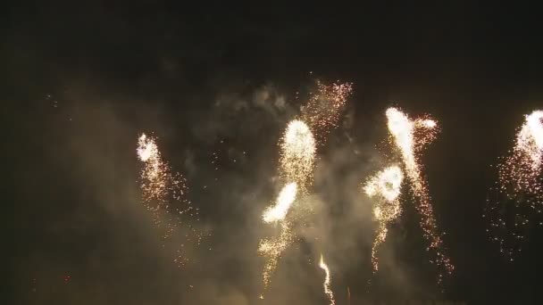 Underbara fyrverkerier på mörk himmel — Stockvideo