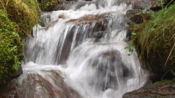 Маленький водоспад у ставку — стокове відео