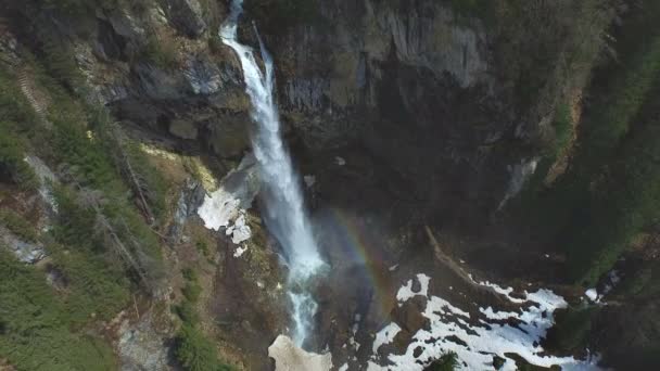 Cascatas de cachoeira na floresta — Vídeo de Stock