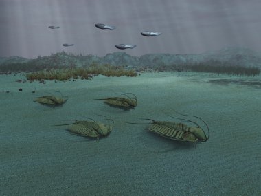 Trilobitler deniz altında