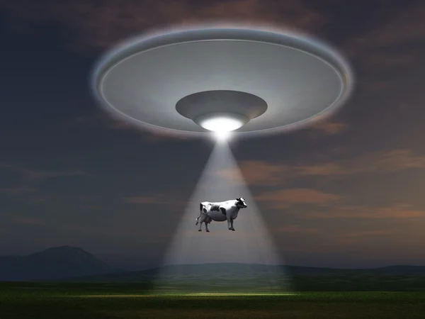 Cow abducted by a UFO — Stock Photo, Image